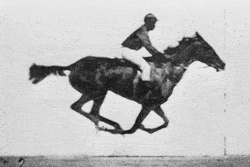 Fotoğraf 2: Eadweard Muybridge, (1878). "The Horse in Motion"