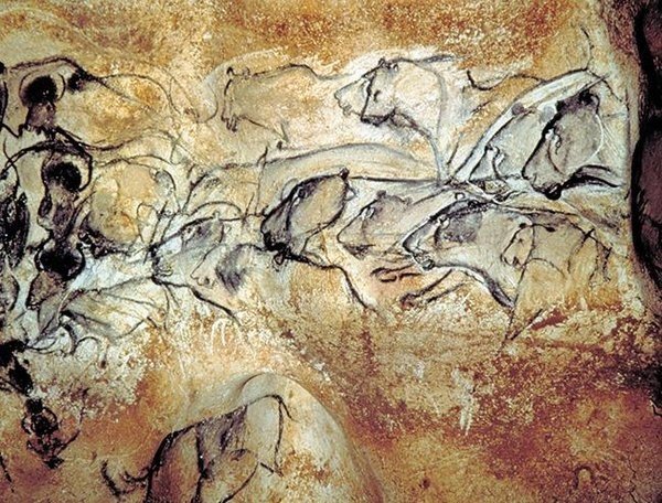 Resim 2: Lions painted in the Chauvet Cave, France